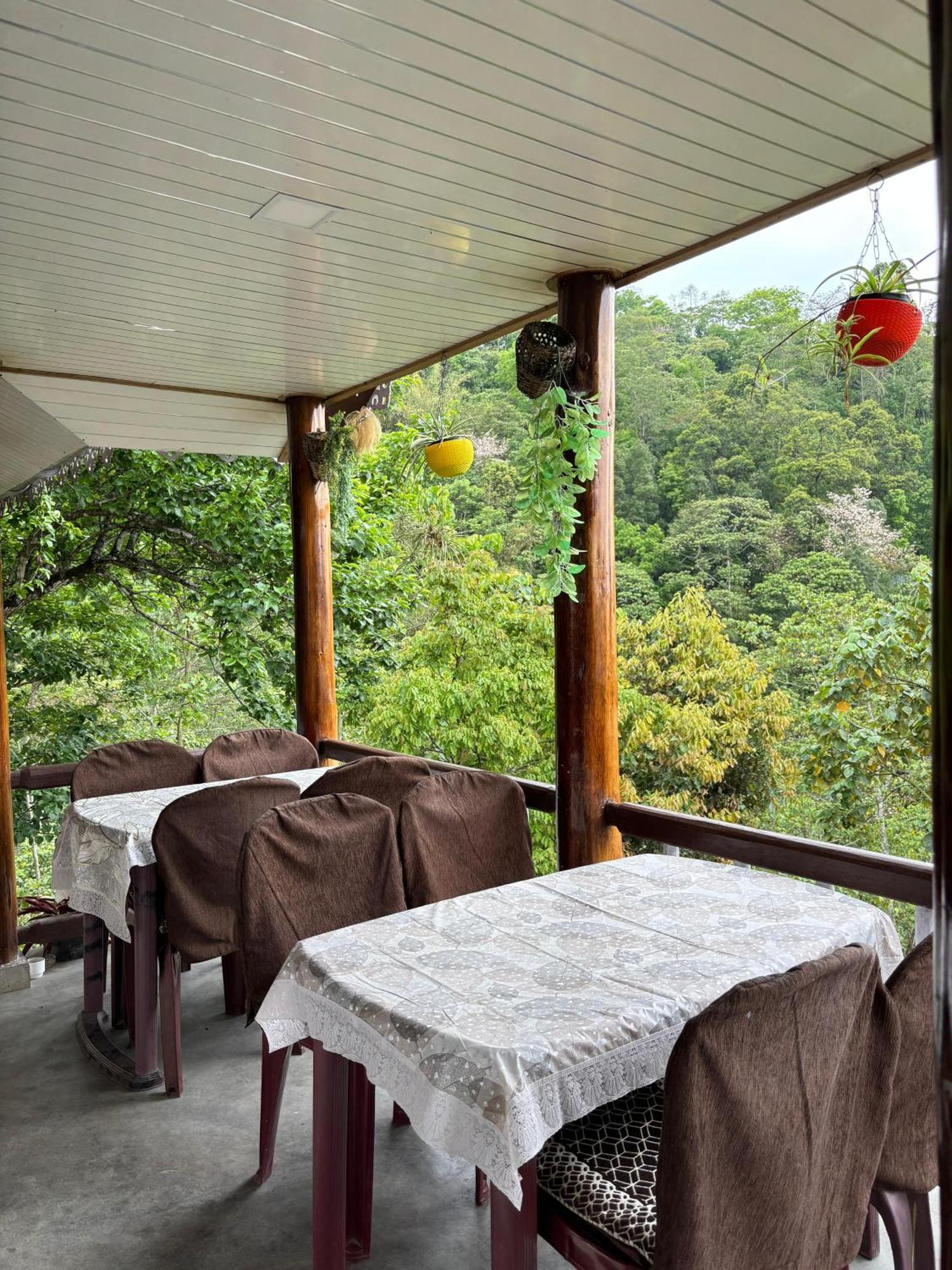 Hosanna Homestay Darjeeling  Exterior foto